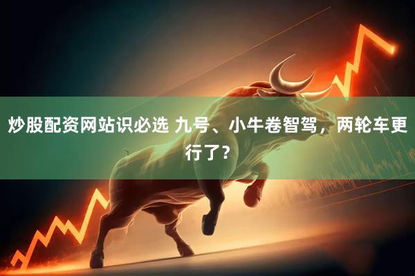 炒股配资网站识必选 九号、小牛卷智驾，两轮车更行了？